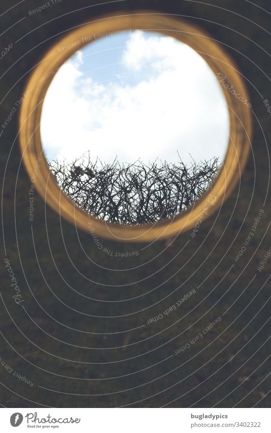 Golden mirror in which a cloudy sky and the upper edge of a hedge are reflected Mirror Reflection Porthole Vista Sky Clouds Hedge Window Nature hazy unusual