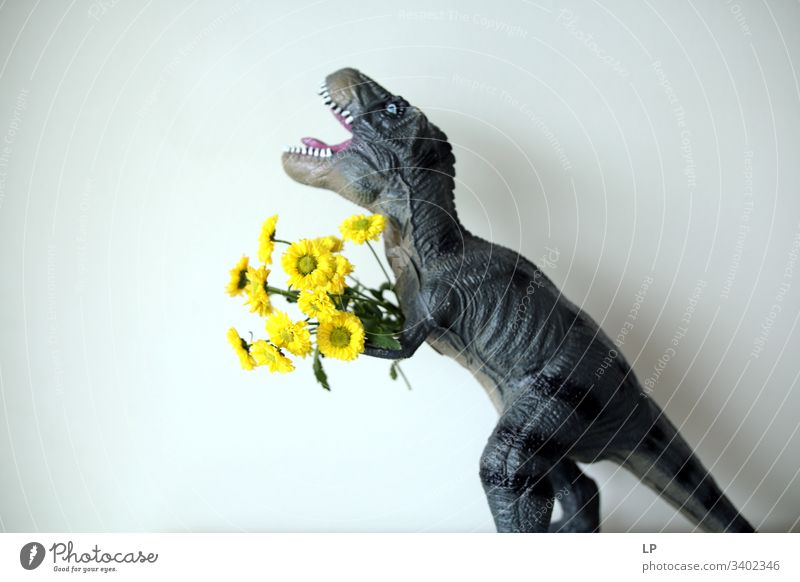 T rex with yellow flowers Dinosaur flowers spring Animal Birthday Humor scary Fight Couple Man Teeth Roaring Reptiles Dragon Primitive times Animal portrait