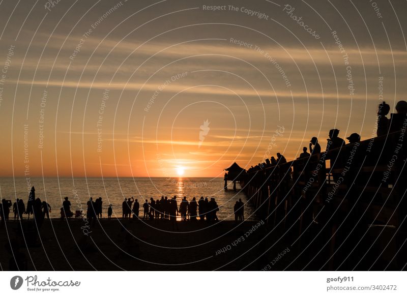 Naples Pier Sundowner Sunlight Colour photo Exterior shot Back-light Sunbeam Sunset Light Sky Silhouette pier Florida Evening Twilight Ocean ocean