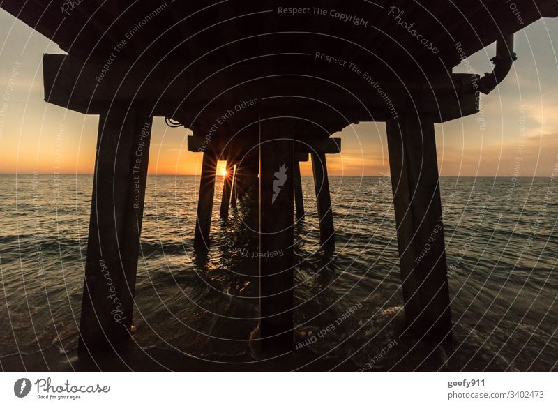 Naples Pier Florida pier Ocean Landscape Colour photo Coast Water Beach Sunset Exterior shot Twilight coastal strip ocean Florida Beach Calm Nature