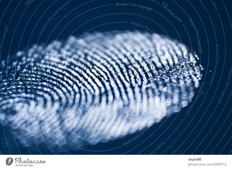 search for clues Fingerprint squeeze Identify Identity Evidence Tracks forensics Perpetrator Assassin Criminality Symbols and metaphors Murder Death Crime scene