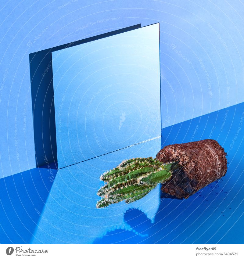 Still life space with a mirror and a cactus out of its pot blue still still life hard light wall square squareformat cold empty no one noone object objects