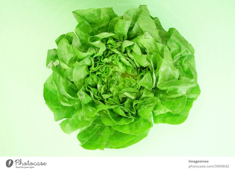 Green lettuce - green background. Lettuce for salad. cut out Fresh Leaf Eating no people Healthy Eating Vegetable food and drink organic Raw vegetables