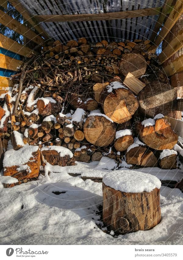 Snowed stack of logs. wood winter snow lumber tree chimney environmental lumberjack stove wood cold fireplace fuelwood season power ovenwood fuel wood organic