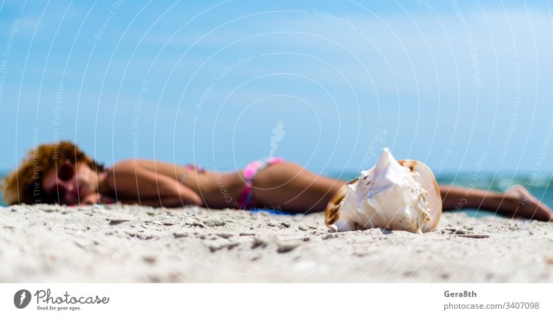 large ocean shell on the sand against the background of a tanning girl in a colorful swimsuit on the beach big shell blue blur clear coast day focus