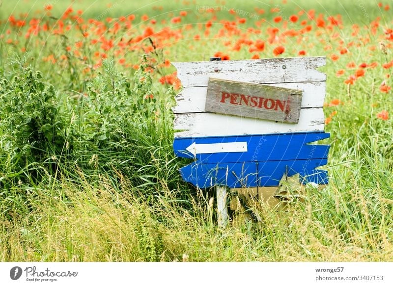 Blue and white wooden board with a reference to a pension at the edge of the field. wooden panel Blackboard Signage clues indicative Colour photo Deserted
