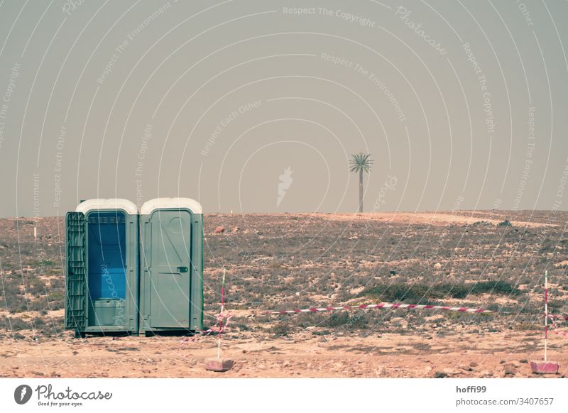 mobile toilet in desert with flutterband and palm tree Rental toilet toilet house Toilet Meeting 00 Latrine Trashy absurt Urinal Desert Hot Esthetic Warmth