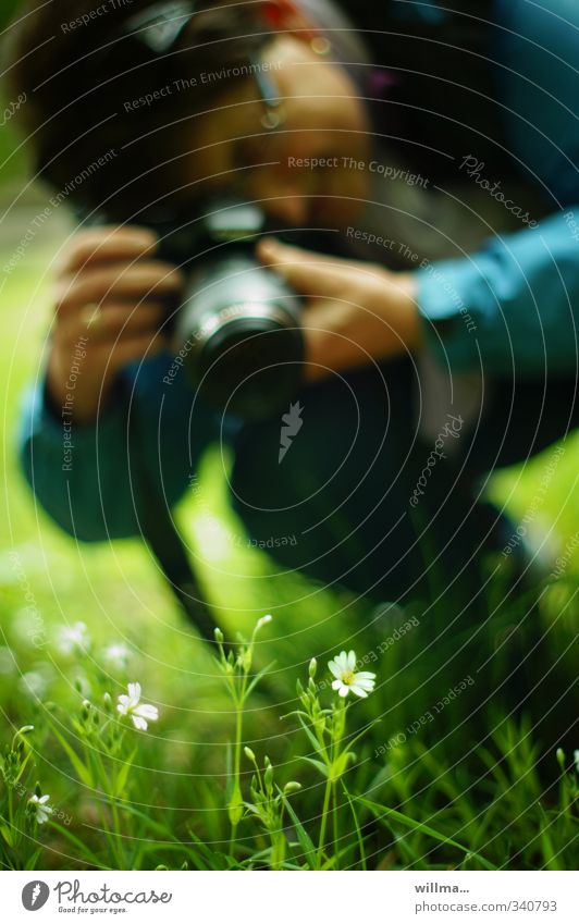 Amateur photographer squats in the grass and takes pictures of delicate meadow flowers Leisure and hobbies Camera Human being Woman Adults 1 Nature Plant Tree