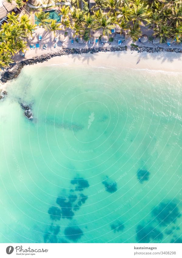 Aerial view of amazing tropical white sandy beach with palm leaves umbrellas and turquoise sea, Mauritius. beachfront resort travel pool hotel blue summer water