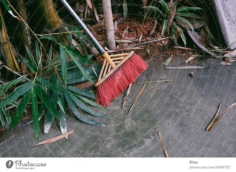 Broom with red bristles next to plants on grey stone floor Garden sweep Stone floor foliage leaves Green Red Bristles Ground Tropical Southern Gardening