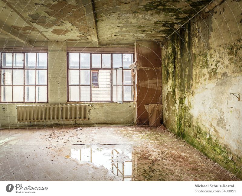 Green Room - Wallpaper factory Norta Langenhagen lost place Urbex abandoned forsake sb./sth. Ruin ailing