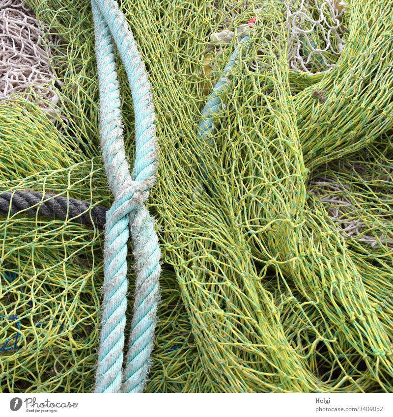 rope team | fishing nets and ropes in the fishing port Fishing net Rope Fishing port Colour photo Exterior shot Close-up Net Network Fishery