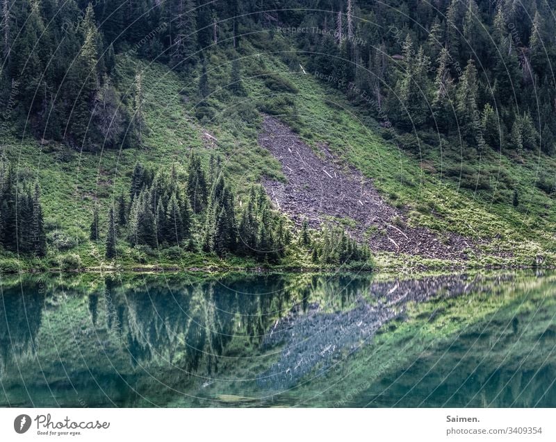 mirror forest Landscape mountain lake Forest Coniferous forest huts Meadow Slope Gravel reflection Nature Colour photo Idyll idyllically Beauty & Beauty Lake