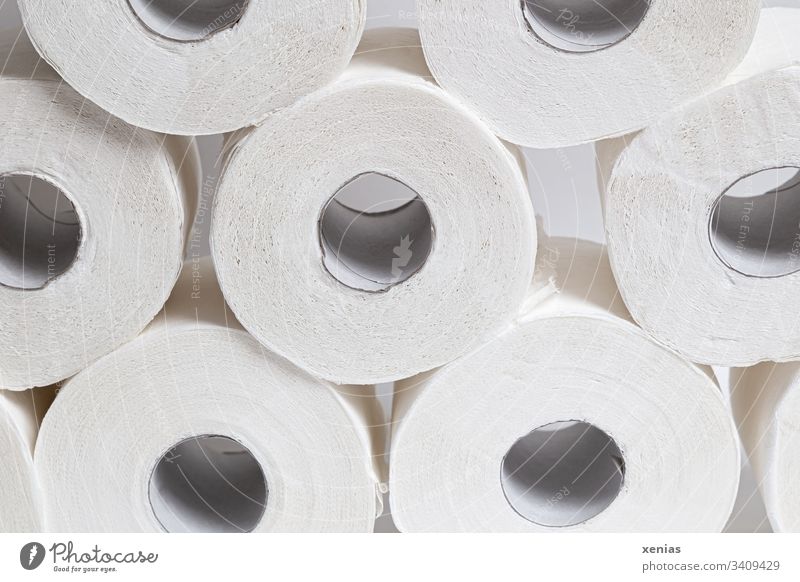 the empty toilet paper roll - who doesn't know it ... - a Royalty Free ...