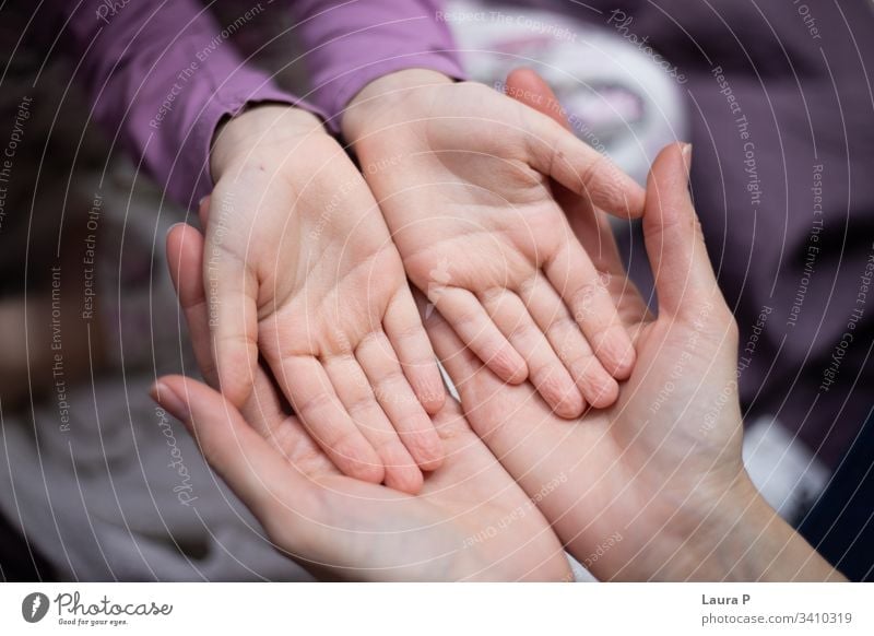 Mom holding daughter hands in her hands safety connected beautiful parent mom adult child love care caring Love Mother Child Adults Woman Parents Daughter