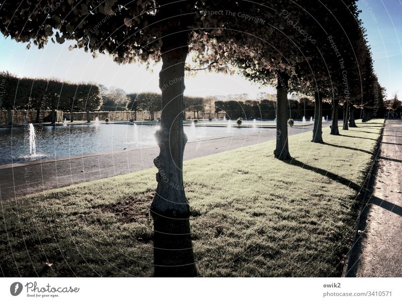 Promenade with lake view Hannover Park distinguished Herrenhäuser Gardens Tourist Attraction worth seeing Beautiful weather Landscape Tree Light Deserted Nature