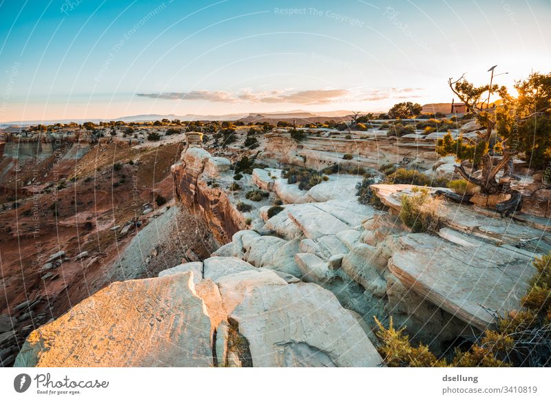 Bushes on rocky ground in low setting evening sun Landscape bushes Evening Evening sun Sunset Sky Clouds Beautiful weather Warmth Contentment Sunrise Nature