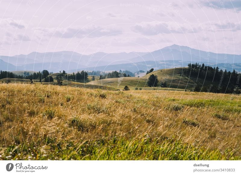 Hilly landscape over several layers with meadow in the foreground Green Landscape Idyll tranquillity Serene mountains Relaxation Exterior shot Vacation & Travel