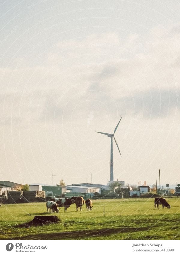 ecological wind power plant with renewable green energy on a field in the evening sun Autumn Alternative background Blue Change Clean Climate change cloud