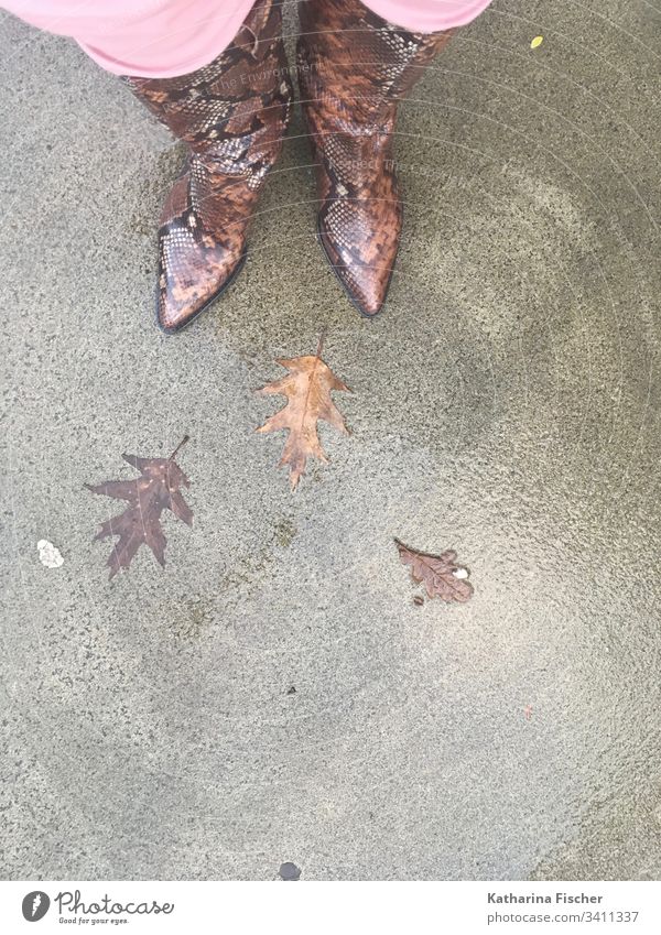 boots snake look autumn - leaves Boots Snakeskin Asphalt Autumn Bird's-eye view Footwear Exterior shot Legs Stand Brown flecked Pink Beige beige-brown Leaves