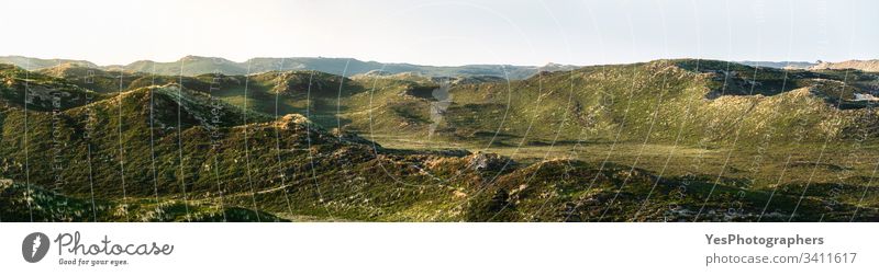 Dunes on the Sylt island panorama. Sand dunes overgrown with moss Frisia Germany Schleswig-Holstein Europe Green Hill Hill side Landmark Landscape Morning Moss