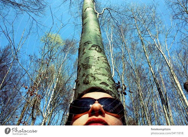 Female face with sunglasses from below with tree trunk in the background Forest Forest walk Clearing woodland Forest atmosphere Tree trunk Treetop Tree bark