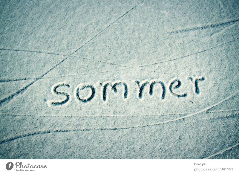 without words Summer Winter Snow Characters Esthetic Exceptional Uniqueness White Longing Cold Environment Line Spirited Climate change Ice Colour photo