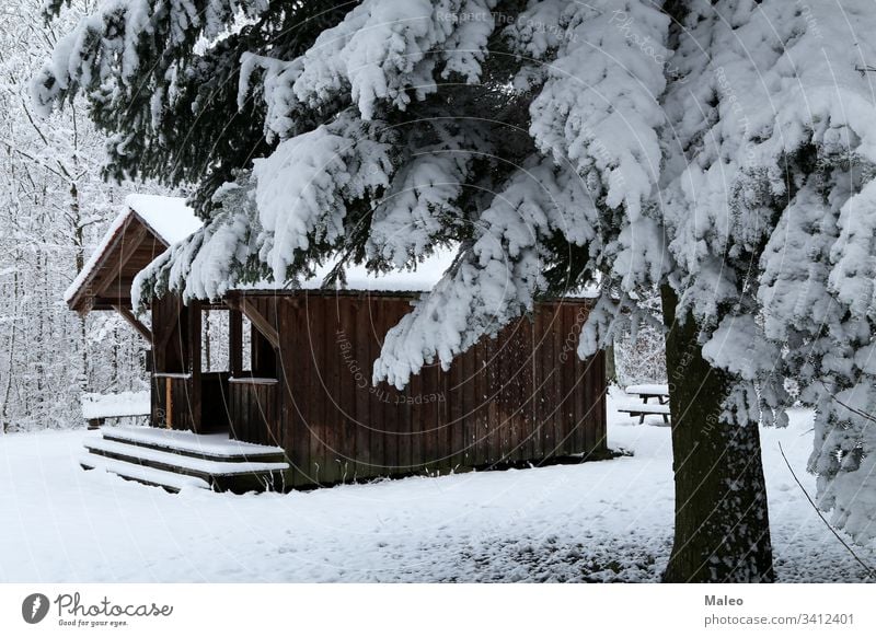 Winter landscape with a hut in the forest House (Residential Structure) Landscape Forest Snow Hut Nature Blue Public Holiday Jawbone Holiday season Tree Wood