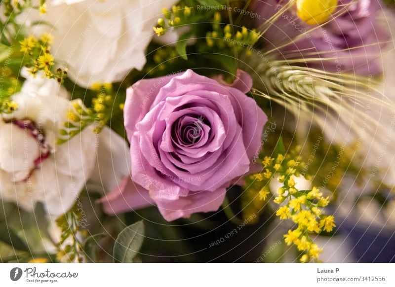 Floral violet-white beautiful background. Flower composition. Bouquet of  flowers from light purple roses. Close-up. Nature. Stock Photo