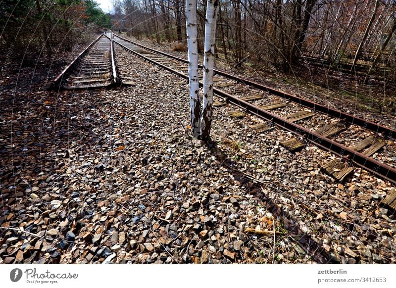 Park at the Gleisdreieck Train station Railroad undergrowth track triangular track Freight station track triangle park Wilderness Transport Railroad system rail