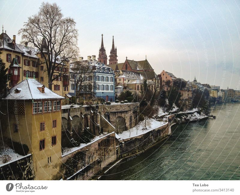 Basel riverside Rhine River bank Colour photo Exterior shot Water Landscape Tree Cathedral Basel Cathedral Landmark Tourist Attraction Town Skyline Switzerland