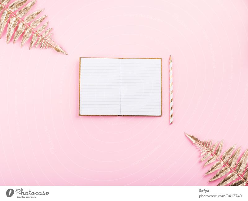Golden branches and open notebook on pink diary page white empty goal write journal plan tropical notepad plant golden mockup mock up concept inspiration