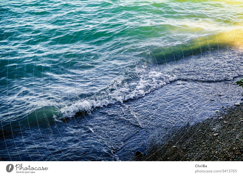 Waves on the beach of the Bodensee lake Lake Constance wave Sand water shore turquoise blue coast nature natural buzzer beautiful view sunny outdoors seaside