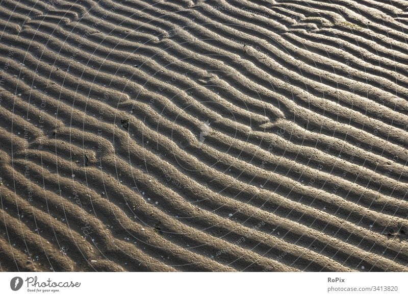 Patterns in the mudflats at night. Beach beach Coast Ocean sea Sandy beach seashells Baltic Sea ocean vacation coastal migration Relaxation tranquillity