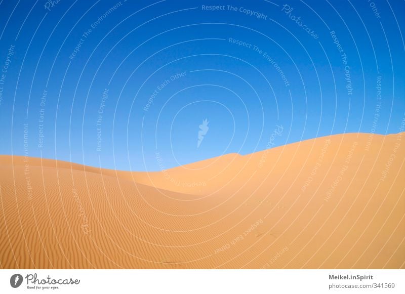 dune Environment Landscape Sand Climate Climate change Beautiful weather Warmth Drought Desert Sahara Erg Chebbi Dune Infinity Hot Dry Blue Brown Yellow