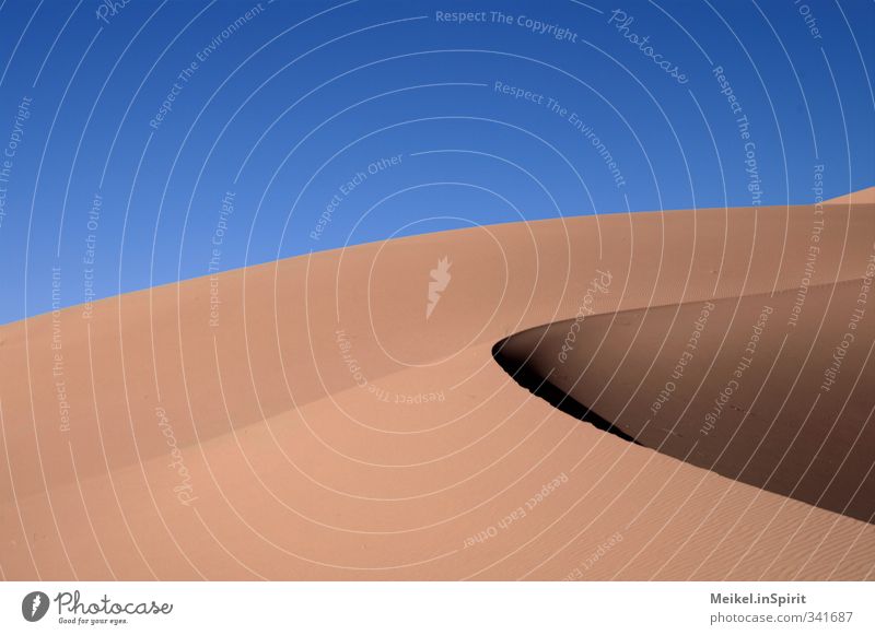 dune Landscape Earth Sand Summer Climate Beautiful weather Desert Dune Sahara Morocco Erg Chebbi Shadow Dark Hot Bright Warmth Blue Brown Yellow Gold Orange