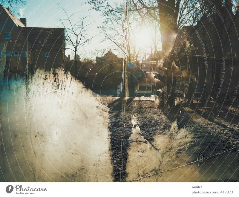 Ice disk Bus stop Glass Pane Protection Transparent iced Winter Frost chill Sun Sunlight Back-light Cloudless sky trees Park Branches and twigs houses