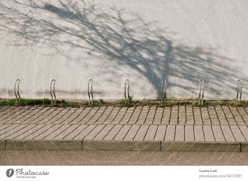 bicycle rack, behind it the shadow of a tree Lifestyle Leisure and hobbies Playing Sports Town Building Wall (barrier) Wall (building) Concrete Above Brown