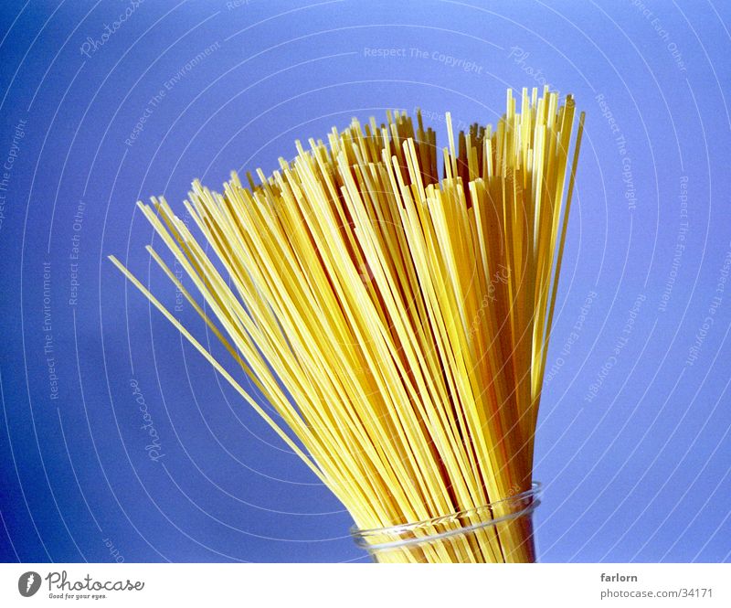 spaghetti bunch Noodles Spaghetti Colour Guide Nutrition Bouquet