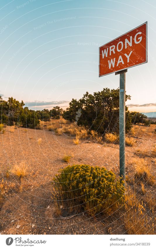 Sign Wrong way in the middle of bushes and trees Wide angle Panorama (View) Long shot Twilight Evening Copy Space top Exterior shot Colour photo Warn Bans
