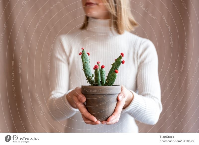 Woman holding a cactus pot flower woman hands plant florist gift floral indoor show lips mouth background person female bloom botanical flowers green girl