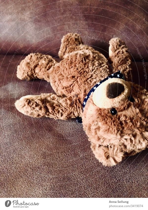 Brown teddy bear forgotten on the couch Toys Playing Infancy Childhood memory Deserted Multicoloured Forget left Loneliness Past Memory Interior shot Grief