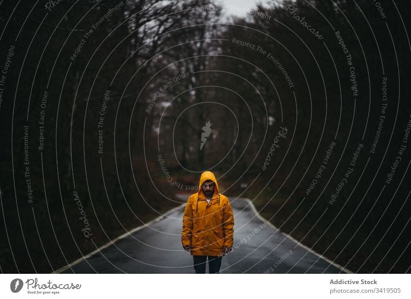 Man standing on lonely road in autumn forest man walk nature rain way tree season weather empty casual yellow coat jacket freedom countryside asphalt scary