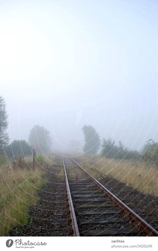 There's a train to nowhere ... Track Railroad rails Vanishing point uncertainty Fear fear of living gravel Track bed bushes Transport Railroad tracks