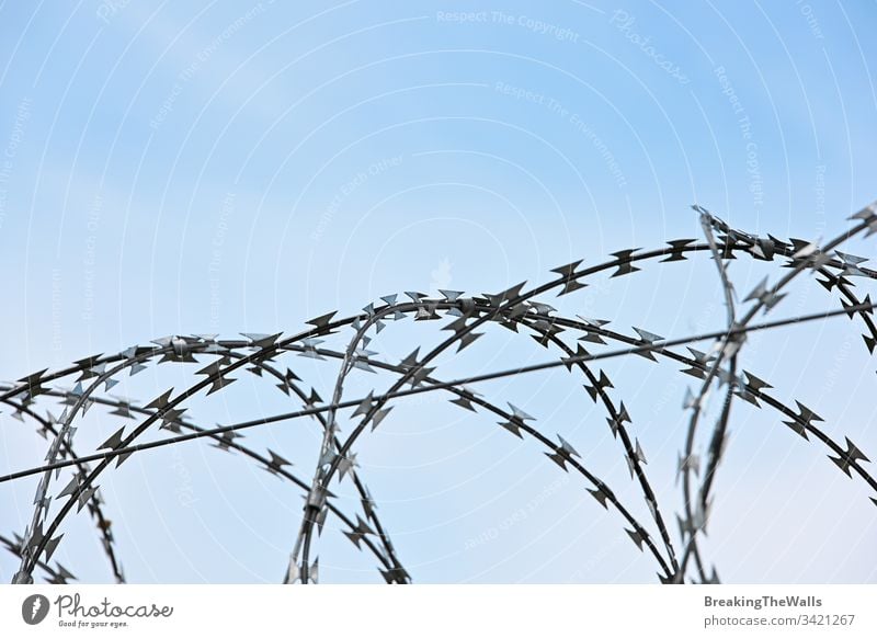 Barbwire security rolls protection over blue sky barbed day closeup sharp copy space low angle side view metal fence wall guard restricted area boundary border