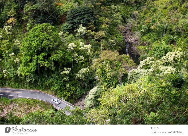 Car Drives along One Lane Road in Jungle with Waterfall travel road highway drive driving Hana Maui Hawaii tourism adventure discover vacation explore flora