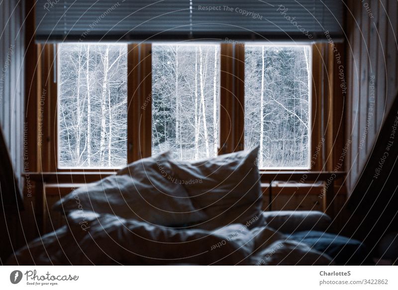 An empty bed with crumpled bedding in the wooden house in front of the window. Outside snow-covered birches. Snow Winter Forest Birch tree Fog Wooden house Hut