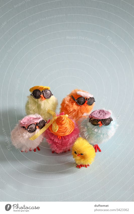 Easter, Colourful group of decorative chickens with cool sunglasses fowls Easter egg Easter Bunny Easter egg nest Nest Tradition Spring Sunglasses Cool chicks