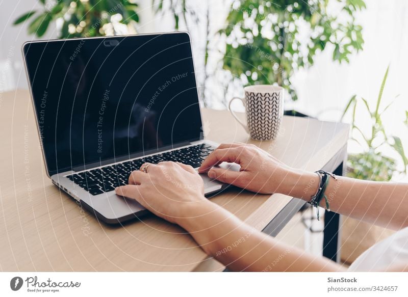 Woman hands, work from home working computer laptop office woman desk using young business female internet coffee mug cup technology person plants window