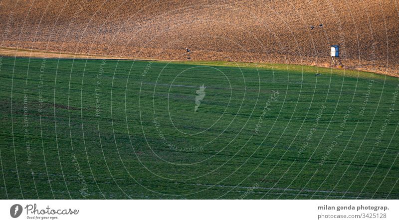 Rural landscape of Turiec region in northern Slovakia. countryside rural fields spring agriculture nature hunting lookout magpie